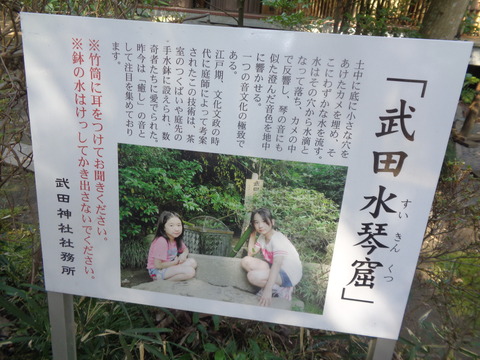 DSC08329