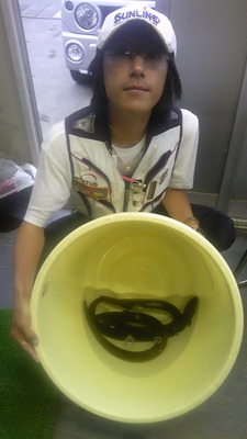 写真(1)