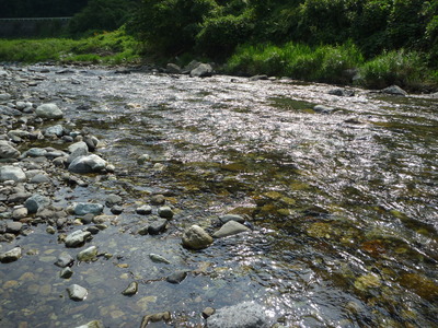 P1030890