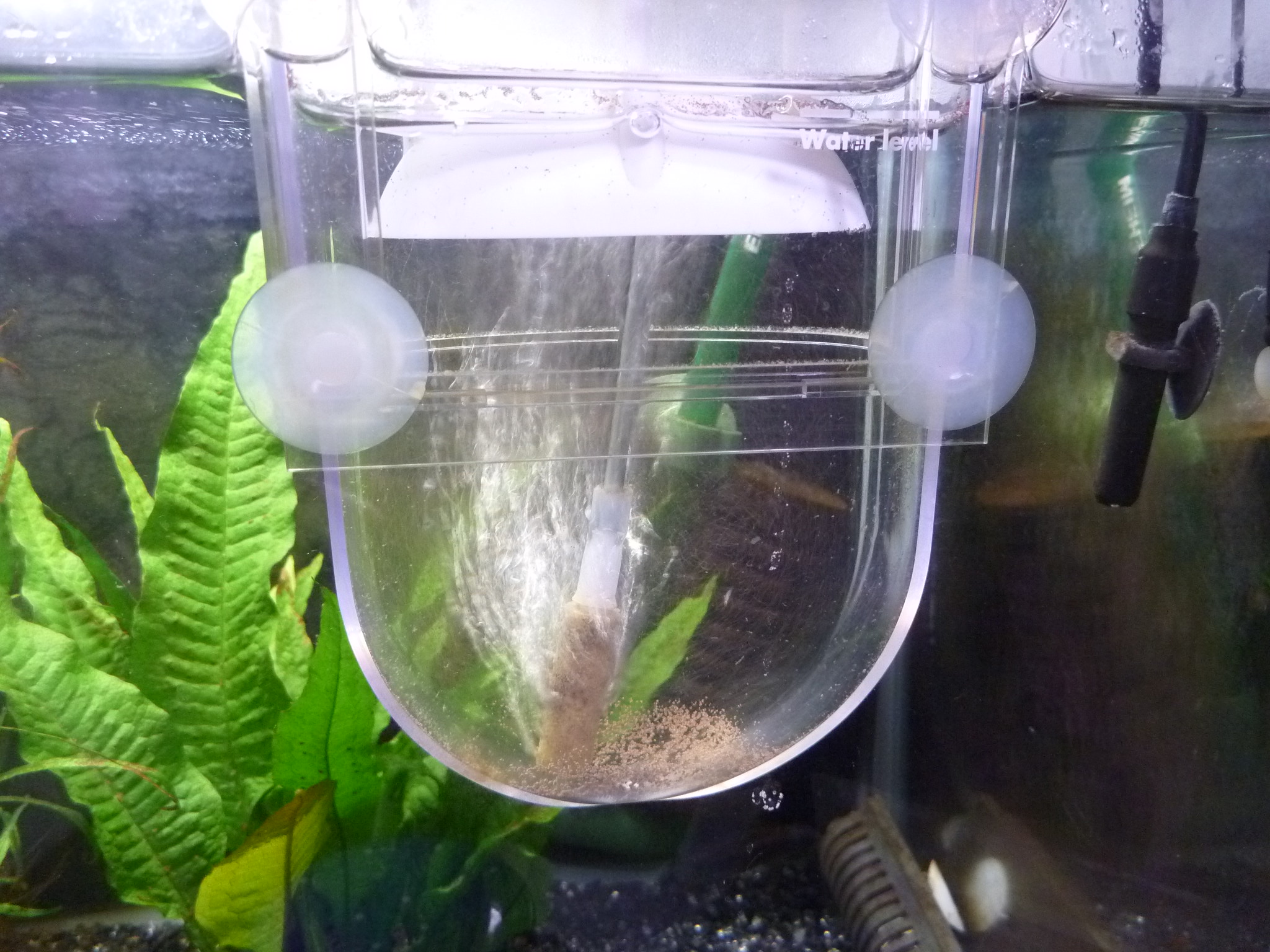 ブラインシュリンプ てっちゃんの釣り日記