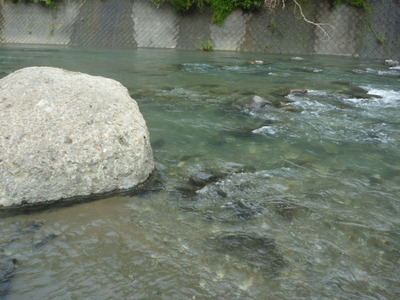 P1040246