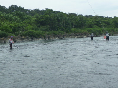 P1040704