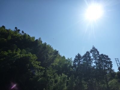 P1030924
