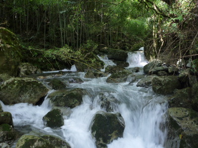 P1020739
