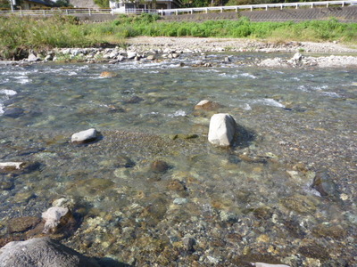 P1040279
