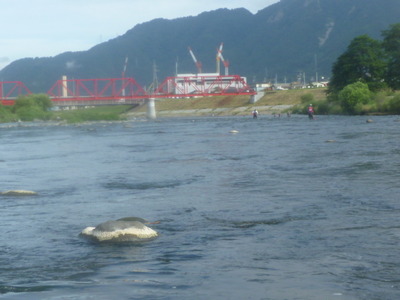 P1040764