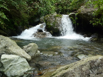 P1020740