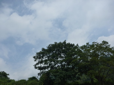 P1030895