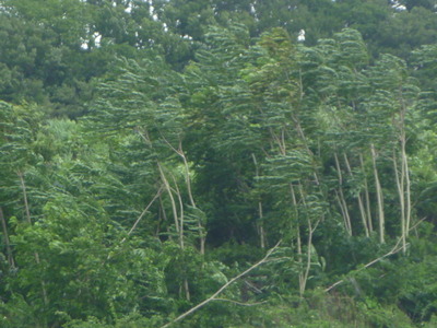 P1040702
