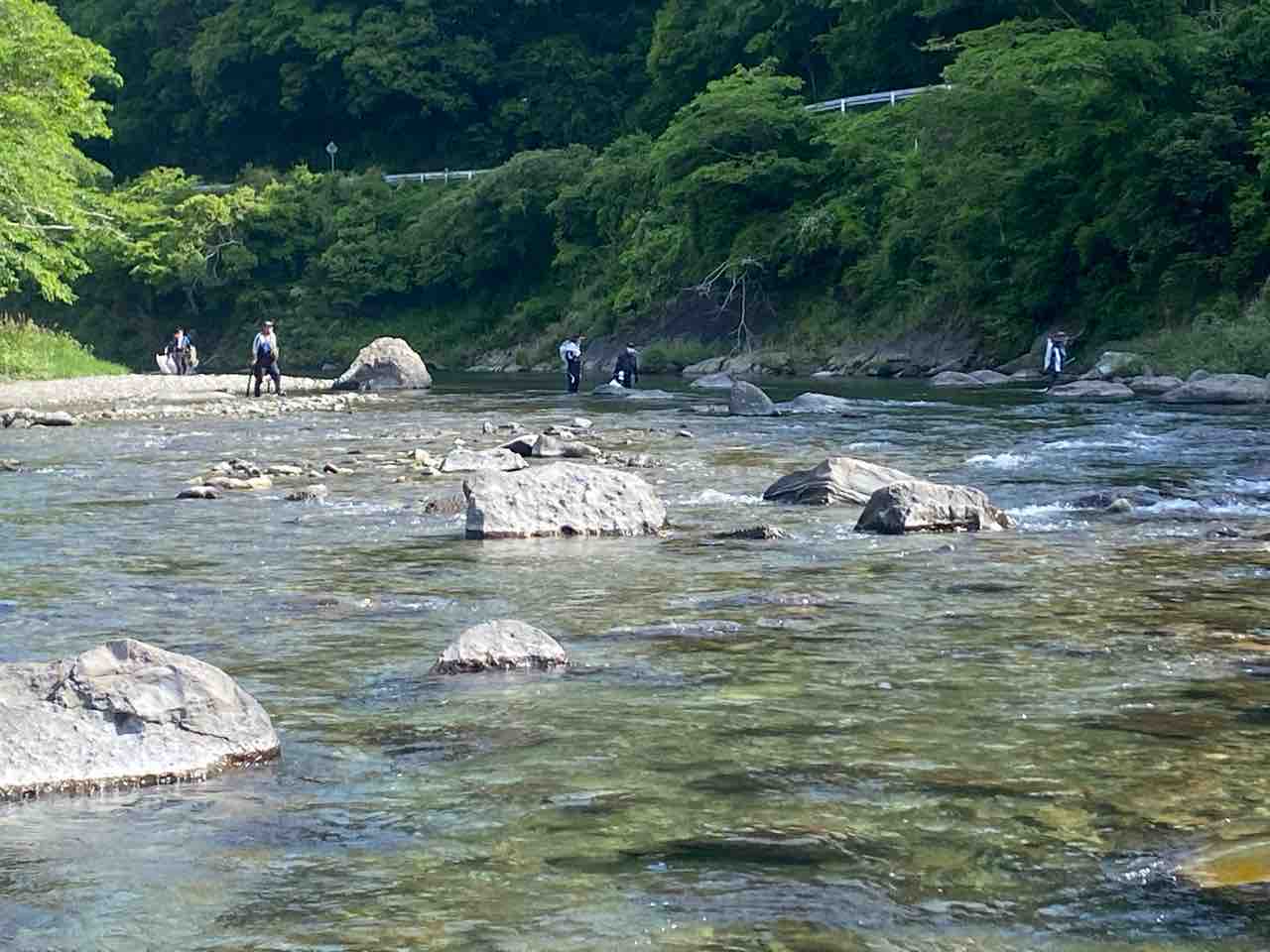 興津川 鮎釣り情報 5月9日 川掃除 てっちゃんの釣り日記