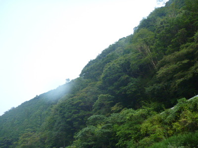 P1040861