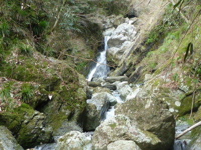 P1000302