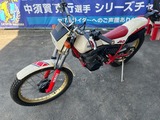 5.1984 TY250