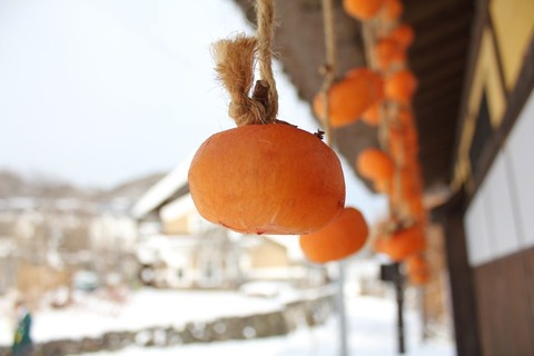 福島みしらず柿