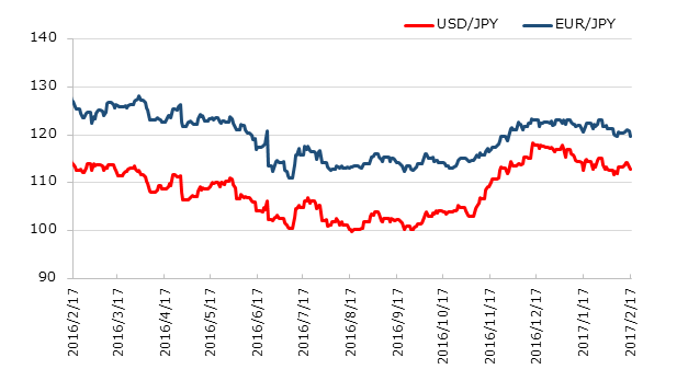 ľ��1ǯ�Υɥ�ߤȥ桼���ߤο��