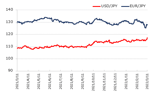 ľ��1ǯ�Υɥ�ߤȥ桼���ߤο��