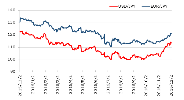 ľ��1ǯ�Υɥ�ߤȥ桼���ߤο��