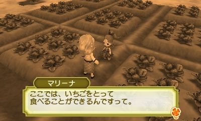 牧場物語 ３つの里の大切な友だち プレイ日記 Vol 1 明日はアタシの風が吹く