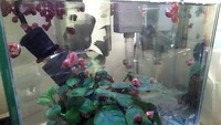 20190705_125656301