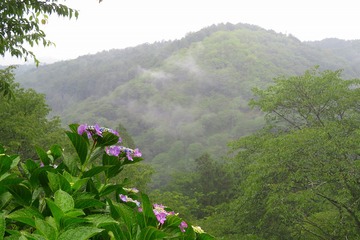 nanamagari20200618-04