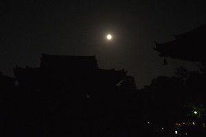 Tosyodaiji03_2 Tosyodaiji03_2