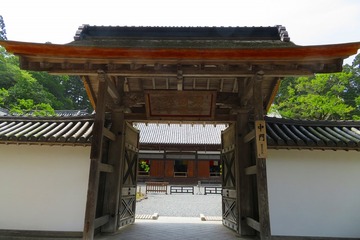 205zuiganji20190605