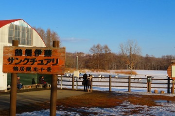 34hokkaido20190308