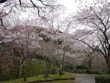 syojiji20170409-07
