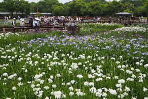 Yamadaike201606042 Yamadaike201606042