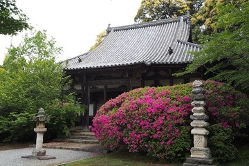 tyogakuji20170507-03