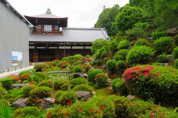 tohukuji2020.6.2-04