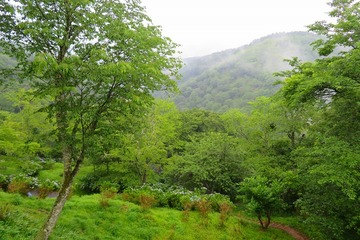 nanamagari20200618-03