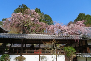 jurinji20200321-08