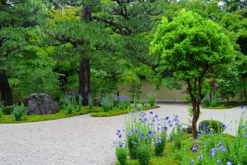 rozanji20200630-05