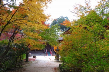 45tyojuji20191126