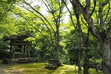 kogenji20170626-06