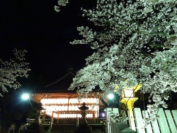 mukojinja20170409-4
