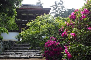tyogakuji20170507-02