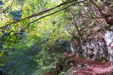 tendaki20191102-08