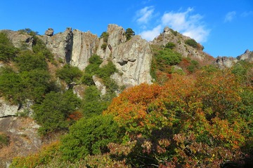 006kankakei20201127
