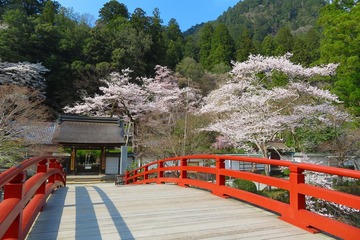 muroji20200404-01