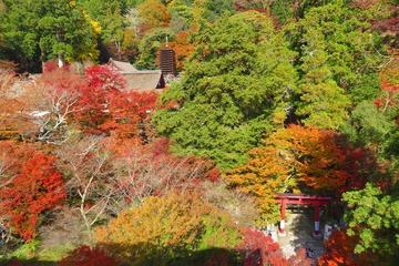 tanzanjinja20191118-01