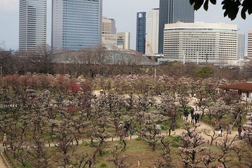 osakajobairin20170308-3
