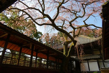jurinji20200321-07