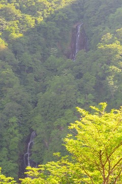 516zao20190606
