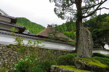 02tassinji20191006