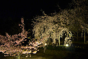 23uji 23uji
