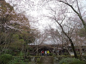 syojiji20170409-03