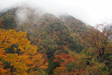 totugawa20171108-4