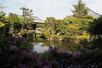 hokkeji20170507-3